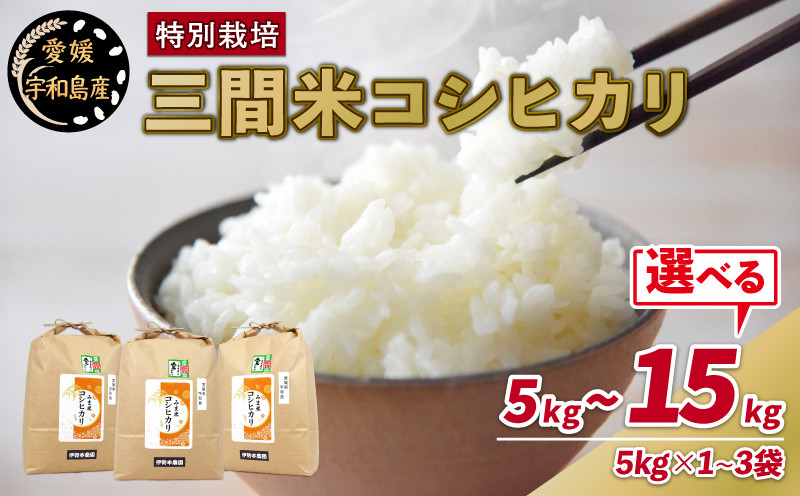 
            特別栽培米 三間米 コシヒカリ 選べる 計5kg~15㎏ (5㎏ ×1~3袋)  伊勢本農園 えらべる 特別栽培 米 お米 おこめ ごはん こめ コメ ※ kome 白米 精米 お弁当 ブランド米 ふっくら ツヤツヤ ライス 農家直送 産地直送 数量限定 国産 愛媛 宇和島 G010-146001~003
          