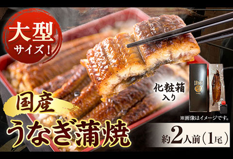 大型サイズ ふっくら柔らか国産うなぎ蒲焼き 約2人前(1尾)  化粧箱入 魚鶴商店《30日以内に出荷予定(土日祝除く)》 和歌山県 日高町 うなぎ 鰻 蒲焼き 国産使用