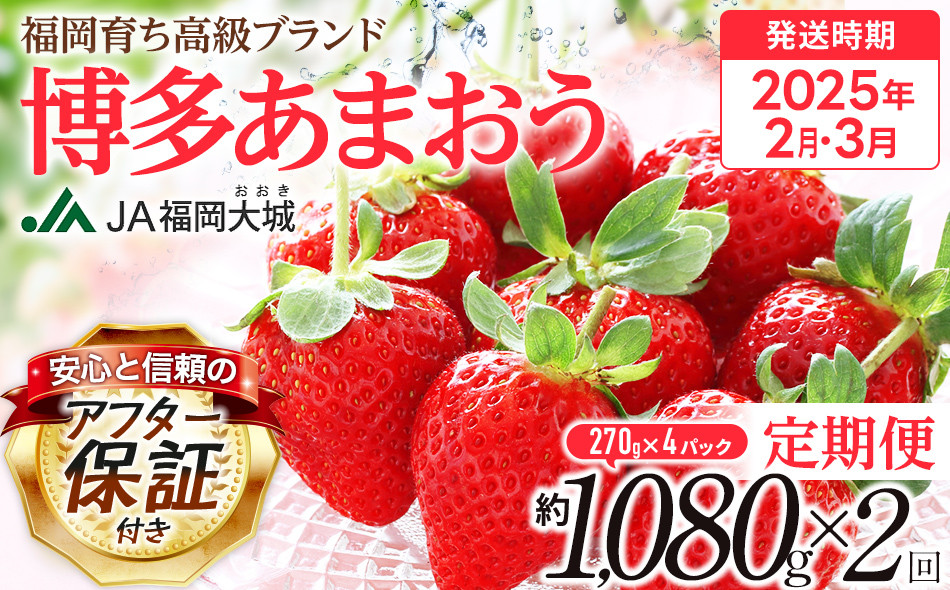 
【定期便】博多あまおう 福岡県JAグループのブランドあまおういちご 1080g（約270g×4パック）×2回 ※2月・3月お届け アフター保証 いちご 博多あまおう 2025年先行予約受付 おすすめ 大木町 JA福岡大城 フルーツ 果物 AG013
