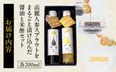高麗人参 醤油 しょうゆ 米酢 高麗人参スプラウトをまるごと漬け込んだ醤油と米酢セット_M145-0004