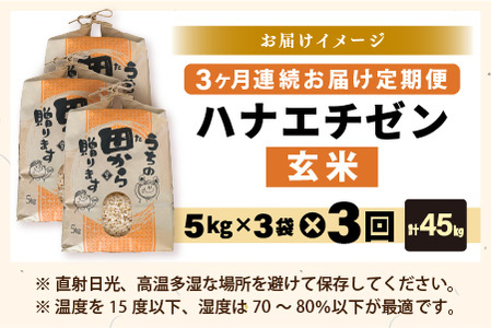 【先行予約】【令和8年産・新米】定期便 ≪3ヶ月連続お届け≫ ハナエチゼン15kg×3回 計45kg ～本原農園からまごころコメて～（玄米）【2026年9月上旬以降順次発送予定】 [I-8906_02