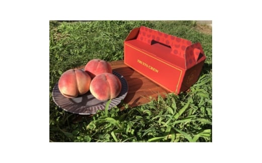 ＜キレのある甘酸バランス 加納岩白桃＞本場山梨品種指定約2kg　6月下旬より順次発送【1704698】