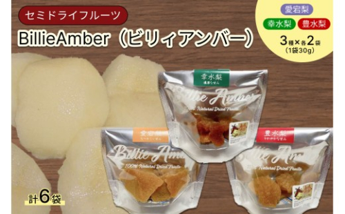 セミドライフルーツ　BillieAmber（ビリィアンバー）3種×各2袋 【211_0002】
