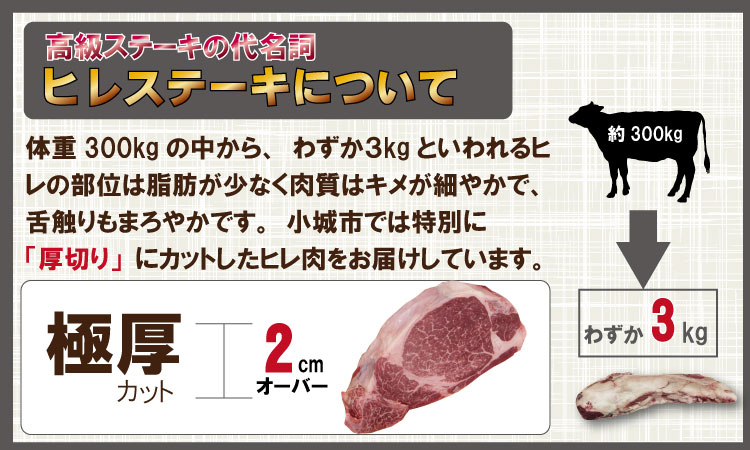 佐賀牛ヒレステーキ（480g） フィレ肉 人気 評価 ナンバーワン！