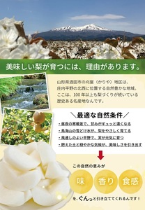 SB0720　酒田産【特選】 和梨 約5kg (9～16玉入) 品種おまかせ : 晩生種 あきづき梨 南水梨 新興梨 大天梨 甘太 王秋