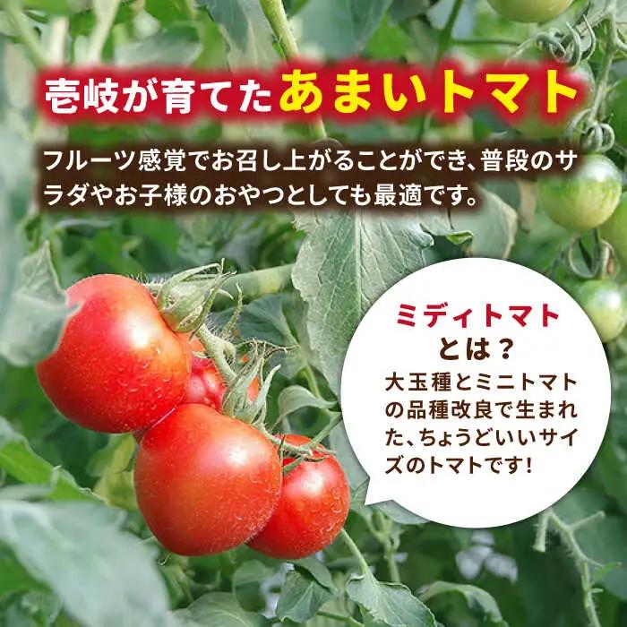 【先行予約】ミディトマト  約4kg 高級贈答用「あま壱岐」  [JAE005] 野菜