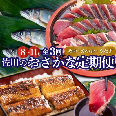 ふるさと納税 佐川町 <2026年鮎から発送>年3回【さかわのお魚定期便(配送月:8月〜11月)】うなぎ 鰹のタタキ 鮎