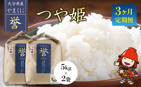 【3ヶ月定期便】【九州米・食味コンクール最優秀賞受賞】令和5年産 大分県中津産やまくに誉 つや姫 5kg×2袋 (毎月1回)   お米 精米 白米 九州産 熨斗対応可 お米 おいしい米 高評価米 中津