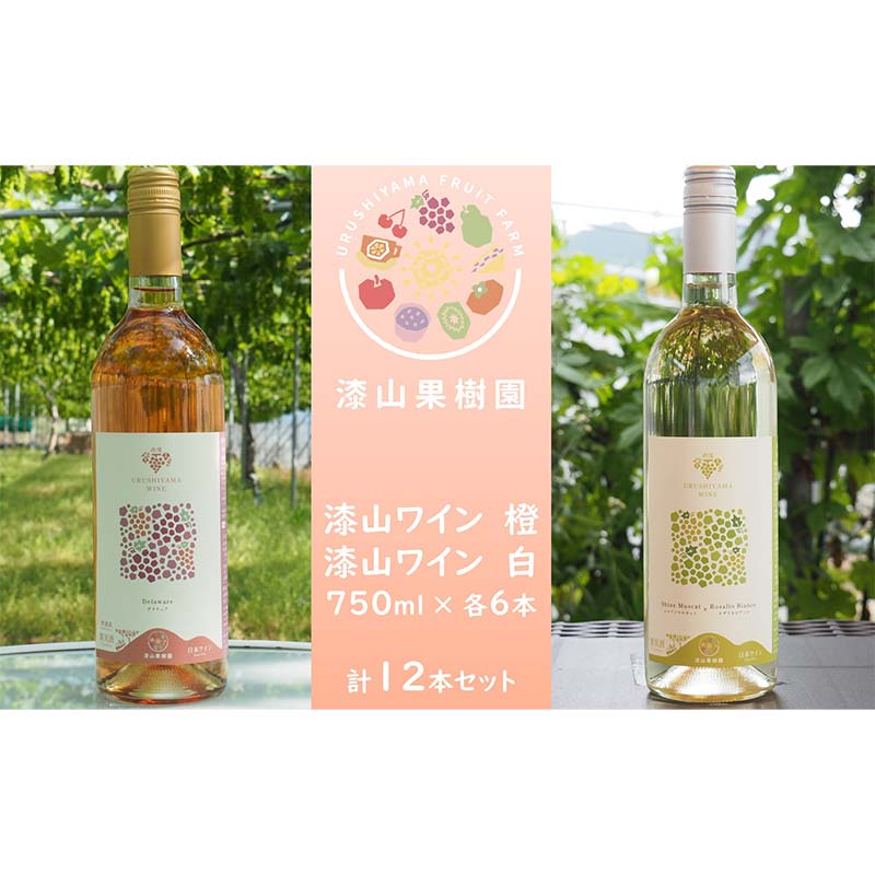 【ふるさと納税】 果樹園生まれの 漆山果樹園ワイン 「漆山ワイン (デラウェア)」 「漆山ワイン (シャインマスカット×ロザリオビアンコ)」 750ml 各6本 計12本セット 『漆山果樹園』 オレンジワイン 白ワイン 山形県 南陽市 [2615]