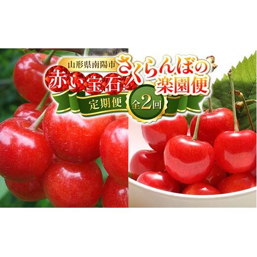 【令和8年産先行予約】 《定期便2回》 赤い宝石！さくらんぼの楽園便 「佐藤錦・紅秀峰」 各約800g (約200g×4パック 秀 L以上) 『フードシステムズ』 山形県 南陽市 [894]
