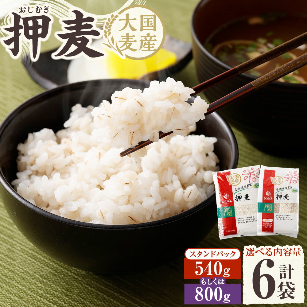 【ふるさと納税】＜選べる内容量＞押麦 計4.8kg（800g×6袋） / スタンドパック 計3.24kg（540g（45g×12袋）×6袋） 大麦 穀物 ご飯 ごはん 麦とろ 国産 山梨県 中央市 送料無料