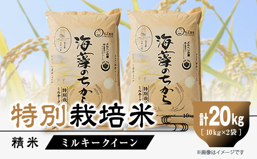 特別栽培米20kg (精米/ミルキークイーン10kg×2)【1290533】