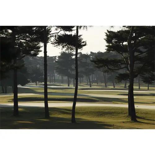 【会員限定】大利根カントリークラブ利用券＊30000円（利用券3000円×10枚） ／ ゴルフ golf GOLF ごるふ ゴルフ場 チケット ちけっと 体験 プレー券 利用券 ゴルフ場利用券 記憶に