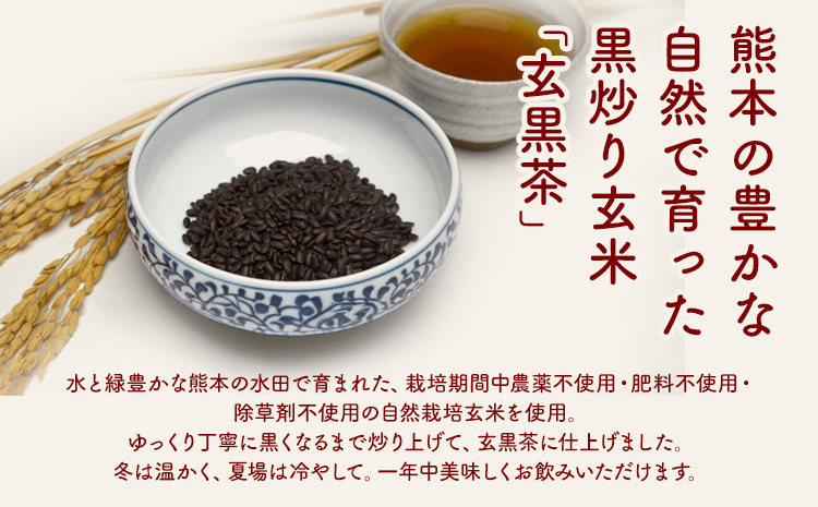 きくち村の 黒炒り 玄米「玄黒茶」計600g（200g×3袋） セット 《30日以内に出荷予定(土日祝除く)》 ---047-0500---