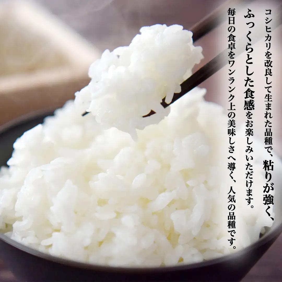 《 令和8年産 》 桜川市産 ミルキークイーン 5kg 新米 先行予約 茨城県 桜川市 米 お米 白米 コメ ごはん 精米 国産 限定 銘柄米 [SC071sa]
