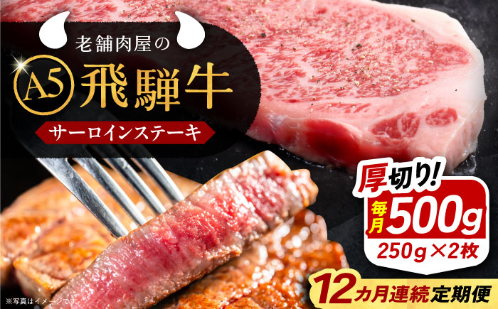 
            【12回定期便】 牛肉 飛騨牛 サーロインステーキ (A5ランク) 1パック (250g×2枚) / 和牛 国産 霜降り 肉 にく 牛肉 国産 和牛 高級肉 霜降り 産地直送 贈答用 ギフト ブランド牛 岐阜県 希少部位 岐阜県産 人気 お取り寄せ / 恵那市 / 岩島屋 [AUAJ029]
          