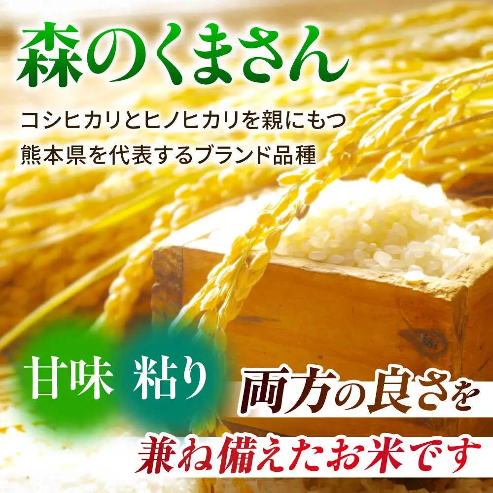 令和7年産森のくまさん白米5kg 熊本白米ZBI032