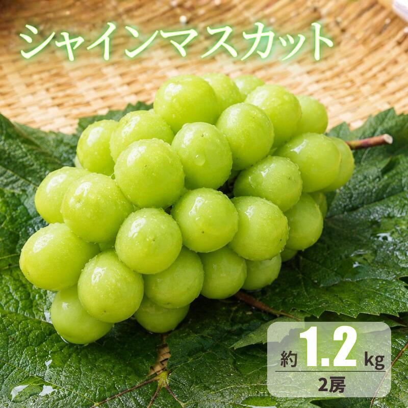 【ふるさと納税】シャインマスカット 約1.2kg 2房 岡山県新見市 【先行予約 2026年10月頃から順次発送】