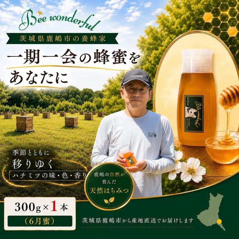 はちみつ 百花蜜 6月蜜 300g×1本 非加熱 産地直送 国産 一期一会 はちみつ 鹿嶋市