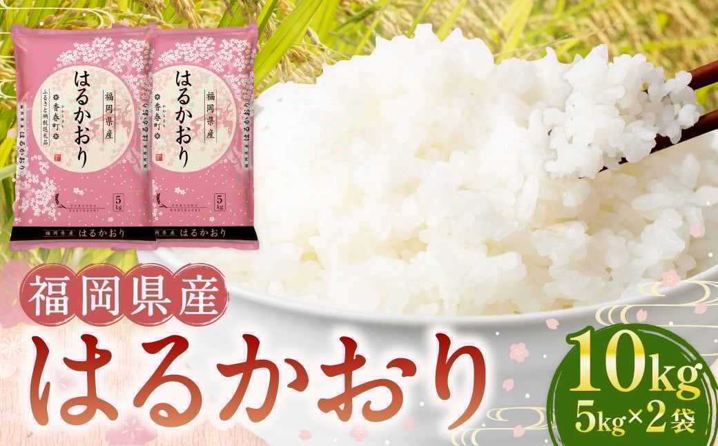 
            【令和6年産】福岡県産米 はるかおり 精米 10kg ／ ふるさと納税限定 ふるさと納税限定品 お米 米 白米 食品 ご飯 飯 九州 福岡県 香春町
          