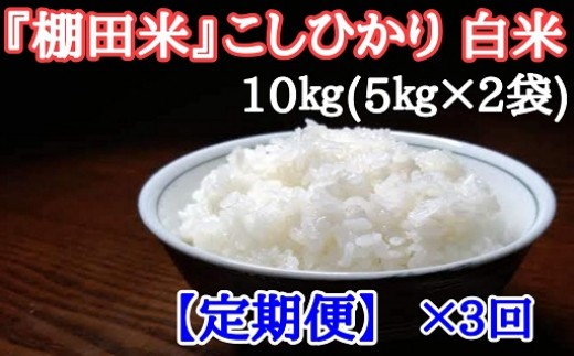 
【定期便】コシヒカリ白米5kg×2袋×毎月3回
