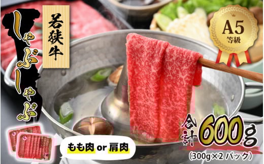 若狭牛 (A5ランク) しゃぶしゃぶ用 合計600g（300g×2パック）【牛肉 BBQ バーベキュー アウトドア A5ランク しゃぶしゃぶ お取り寄せ 黒毛和種 もも肉 肩肉 冷凍 2パック 小分け】[B-022008]