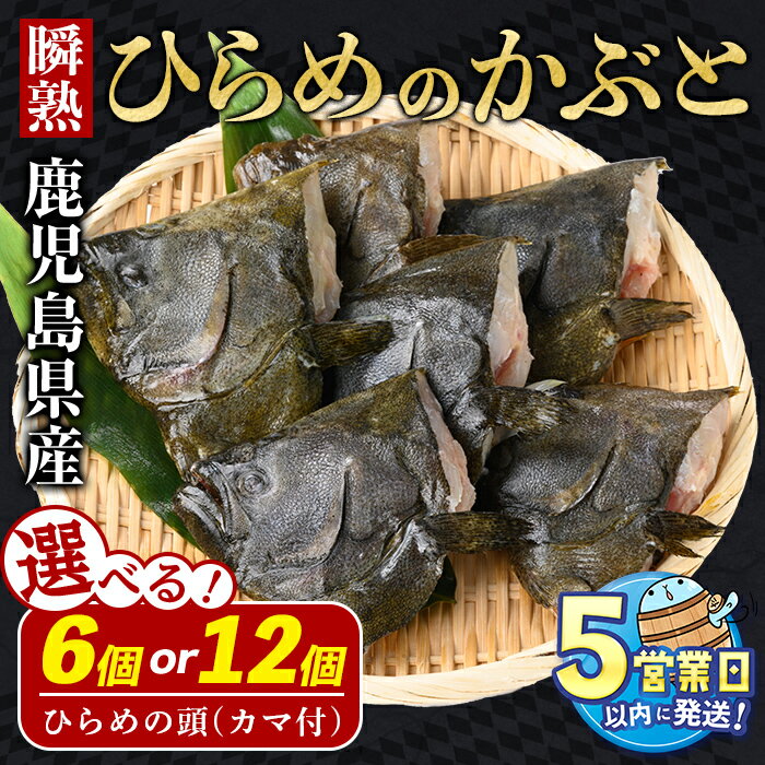 【ふるさと納税】＜すぐ届く！＞【内容量が選べる】鹿児島県産 ひらめのかぶと(カマ付) 計6個(1袋/3個入×2袋) or 計12個(1袋/3個入×4袋) 冷凍 魚 魚介 海鮮 ヒラメ 煮付け 塩焼き 真空パック 養殖 国産 鹿児島 垂水 【有限会社 森水産】