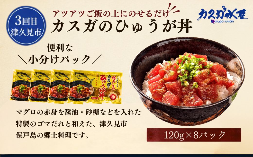 【3か月定期便】簡単調理シリーズ 大分県南3市 佐伯・臼杵・津久見 | 鯖 鮪 サバ マグロ 味噌汁 みそ 惣菜 小分け フリーズドライ 郷土料理 九州 大分県 津久見市