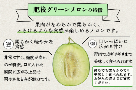 【2025年6月上旬から順次発送】 特大 肥後グリーンメロン 2玉 約5.4kg以上  ～ 果物 フルーツ グリーンメロン 先行予約 5.4kg 青肉 期間限定 数量限定 熊本県 多良木町  101-