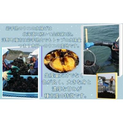 ふるさと納税 洋野町 【令和8年発送】先行予約【水揚げしたその日に出荷】生うに 牛乳瓶入り 130g×3本 |  | 03