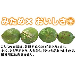 【訳あり】 レモン（グリーンレモン） 2kg サイズミックス 【発送時期：10月～4月】 グリーン レモン 防腐剤 ワックス 不使用 サイズミックス お試し 試供品 少量 5000円 清家ばんかんビレ