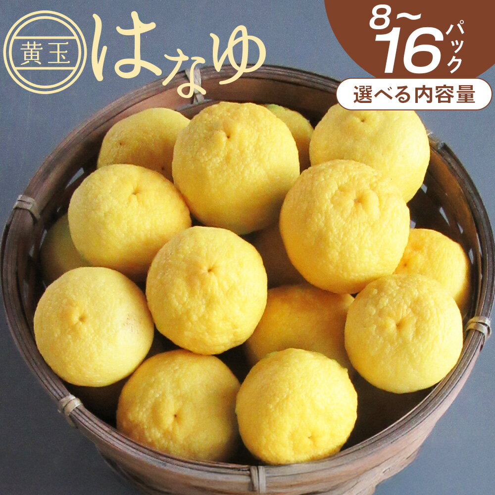 【ふるさと納税】【2026年11月以降順次配送】【選べる内容量】虎弥太郎 はなゆ黄玉 （内容量：8～16パック） - 選べる 数量 国産 ゆず 柚子 ユズ 花柚子 柑橘 香酸柑橘 果物 花皮果汁 フルーツ 果実 料理 酒 ハイボール 焼酎 アレンジ おすそ分け 高知県 香南市 【冷蔵】