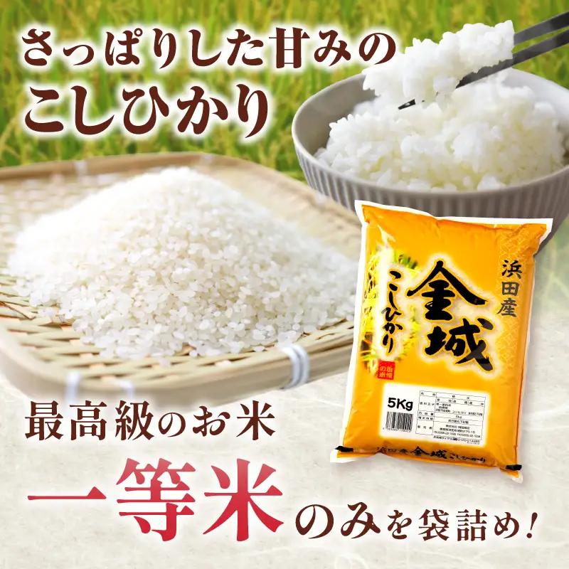 【令和7年産】【定期便】浜田市金城町産こしひかり（5kg×6回） 定期便 6回 こしひかり お取り寄せ 特産 お米 精米 白米 ごはん ご飯 コメ 生活応援 応援 準備 【058_1855】