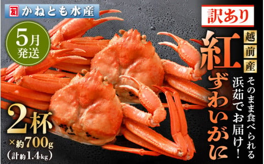 【訳あり】≪浜茹で≫越前産 紅ずわいがに 約700g × 2杯 食べ方しおり付【紅ズワイガニ カニ かに 蟹 姿 ボイル 冷蔵 福井県】【5月発送分】 [e14-x025_05]