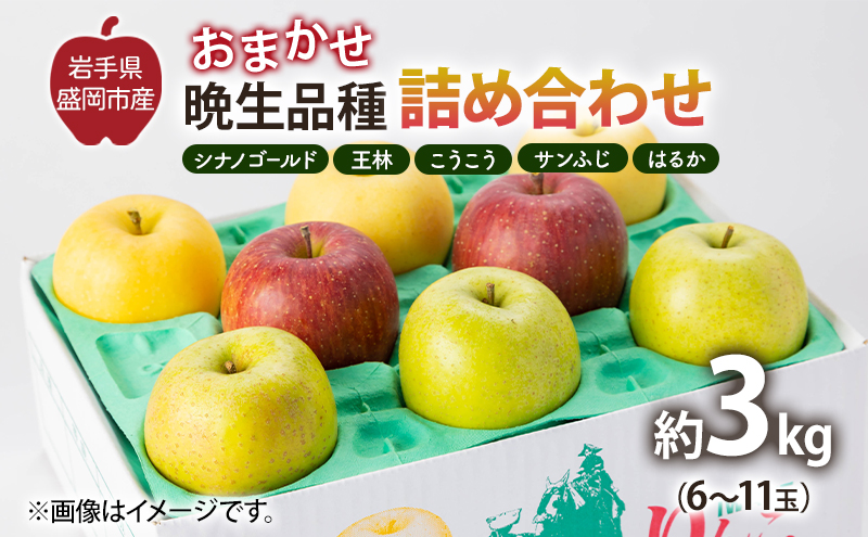 【11月から発送】 りんご 盛岡から「農で人をつなぐ」藤与果樹園：おまかせ晩生品種詰め合わせ（ シナノゴールド 王林 こうこう サンふじ はるか ）約3kg 6～11玉 玉数指定不可 詰め合わせ 岩手