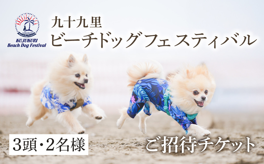 
                  【九十九里ビーチドッグフェスティバル2025】3頭・2名様 ご招待チケット　ふるさと納税 チケット イベント ドッグフェス 愛犬 ワンちゃん beach dog fes ビーチ 砂浜 海岸 九十九里 千葉県 山武市 SMU008
                