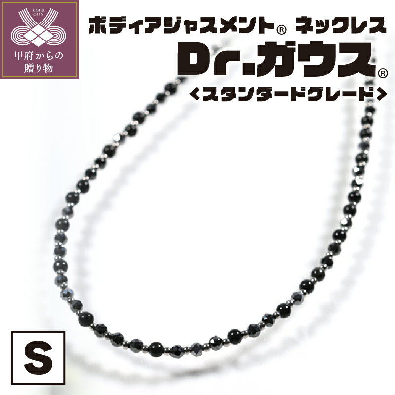 【ふるさと納税】 ネックレス レディース メンズ ジェンダーレス 医療機器 アクセサリー フェライト磁石 天然シリカ ステンレス 磁気 コリ 血行改善 ボディアジャストメント Dr．ガウス スタンダード グレード Sサイズ 説明書 保証書 ケース付 k133-012