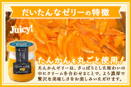 だいたんなゼリー　12個セット