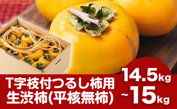【2026年先行予約】T字枝付つるし柿用生渋柿 14.5〜15kg ふるさと農園《10月中旬-11月上旬頃出荷》