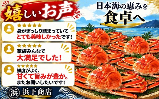 52MZ.■浜下商店■松葉ガニ大2枚〔浜ゆで〕