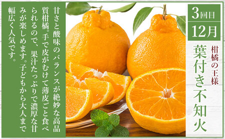秀品 みかん 3ヶ月定期便 【スペシャル：計25kg】 日本フルーツ株式会社《10月上旬-12月末頃出荷》熊本県 荒尾市  極早生みかん 温州みかん 葉付き 不知火 果物 フルーツ スイーツ デザート