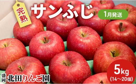 【先行予約】1月発送  完熟サンふじ りんご 5kg 14～20玉  デザート 果汁 甘い 酸味 バランス 果物類 フルーツ 林檎 リンゴ 国産 産地直送 くだもの お取り寄せ 贈り物 ギフト 贈答用 おすすめ 美味しい 特産品 名産品 ご当地 自宅用 朝食 岩手県 盛岡市 東北 岩手 盛岡 北田りんご園 kitada008