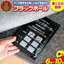 【ふるさと納税】ダニ 対策 ダニ取り パック ブラックホール 6個 8個 10個 石崎資材株式会社《30日以内に出荷予定(土日祝除く)》 大阪府 羽曳野市 虫 捕集 ダニ シート 特許 ダニ対策 押し入れ カーペット ベッド