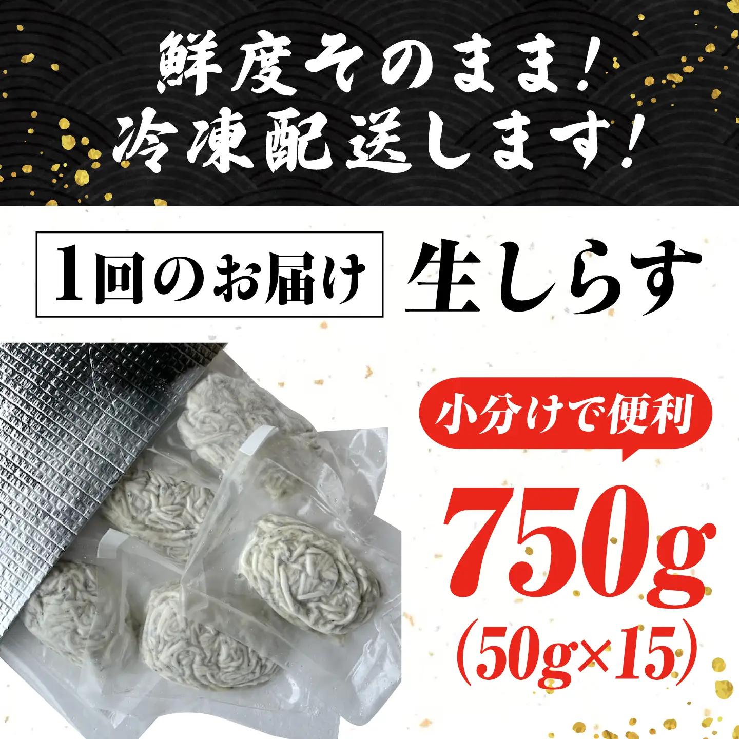 【全12回】冷凍生しらす50g×15個 しらす[XCN016]