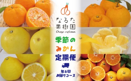 なるた果樹園季節のみかん定期便（年5回お届けコース）