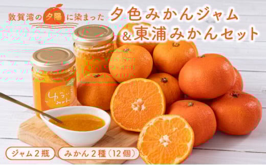 【先行予約】夕色みかんジャム 2瓶&東浦みかん2種のセット【発送期間：2025年11月20日～2026年01月15日】【ジャム みかんジャム みかん 東浦みかん】[089-a001]