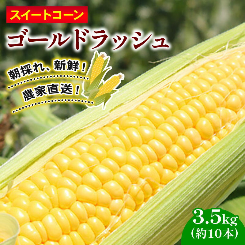 【ふるさと納税】 訳あり スイートコーン (ゴールドラッシュ) 3.5kg 10本 | 2025年発送 6月 贈答用 ギフト用にも スイート コーン 野菜 トウモロコシ とうもろこし 厳選 人気 夏 やさい 旬 甘い 先行予約 産地直送 数量限定 冷蔵 期間限定 季節限定 おすすめ 高知県 南国市