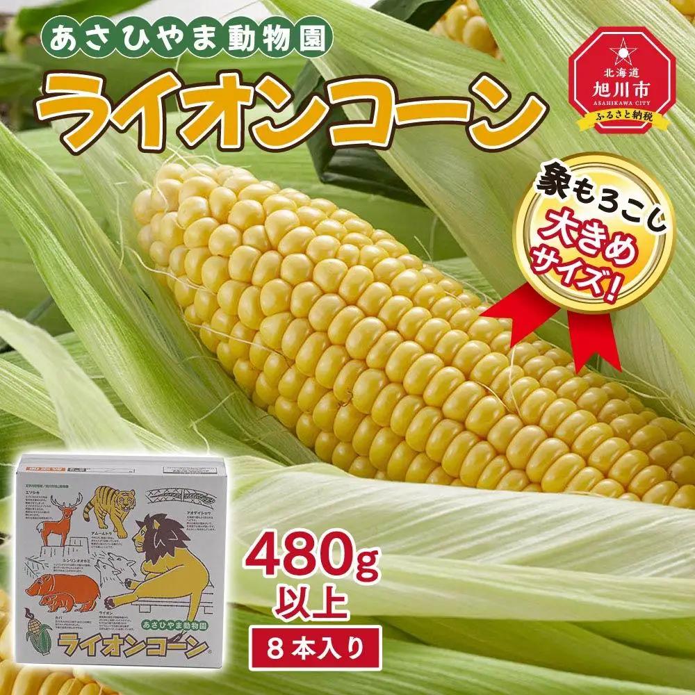 【先行予約】象もろこし（ライオンコーン）大きいサイズのトウモロコシ　480ｇ以上8本入り(2025年8月下旬～発送開始) | トウモロコシ  _01412