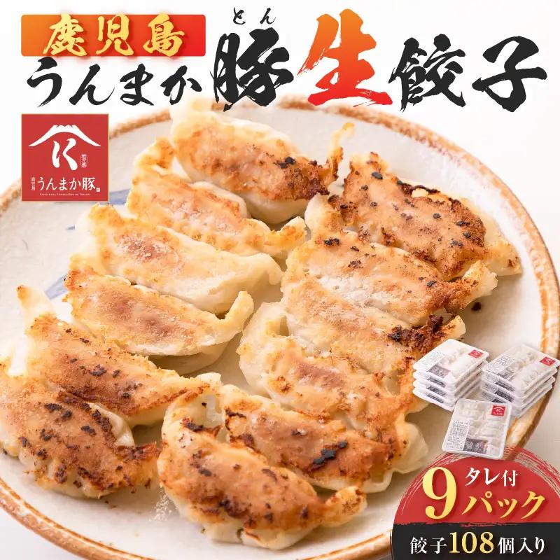 鹿児島うんまか 豚 生餃子 9パック（ 餃子 108個入り・ タレ付 ） K005-003_02 ぎょうざ 惣菜 総菜 豚肉 うんまか豚 野菜 国内産 生姜 ネギ 焼き餃子 水餃子 ジューシー 美味しい ごはん 夕食 冷凍 寺師 ふるさと納税 鹿児島 おすすめ ランキング プレゼント ギフト