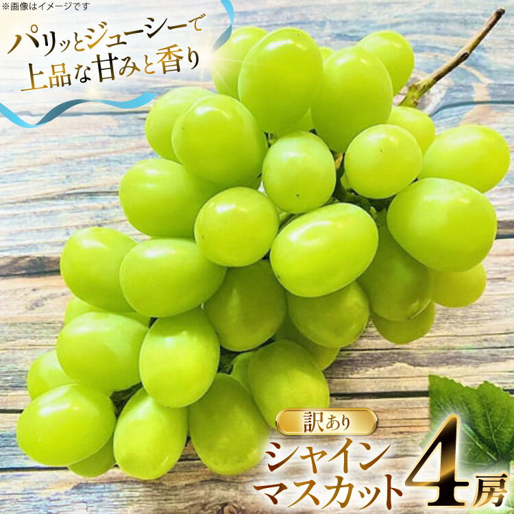 【ふるさと納税】 【期間限定発送】 シャインマスカット 訳あり 4房 2.2kg [もん前の里 山形県 高畠町 tk06ays960001] フルーツ 果物 くだもの ぶどう ブドウ 葡萄 2.2キロ 甘い